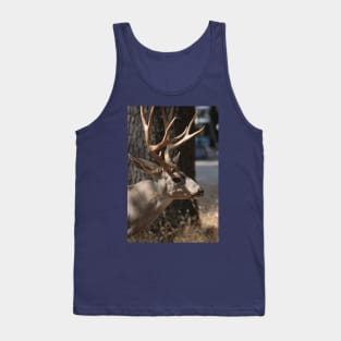 Black-Tailed Deer Tank Top